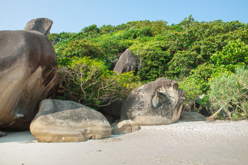 Fototapeta premium Paradise green jungle and big stones. Tropics. Sand shore, rocks and many plants.