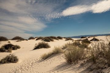 White dunes in big bend desert