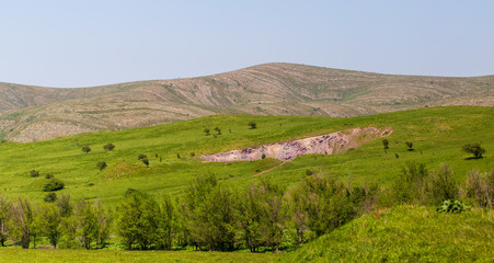 Obraz premium Green vegetation on the mountain slopes in spring