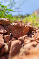 Stone rock in the mountains in spring