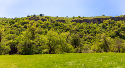 Naklejka premium Green vegetation on the mountain slopes in spring