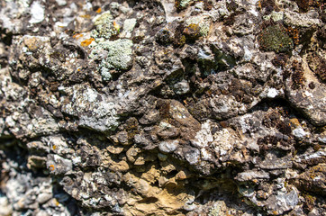 Stone rock in the mountains as a background
