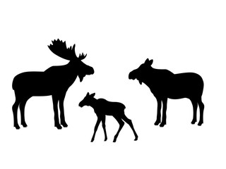 Elk moose mammal black silhouette animal. Vector Illustrator.