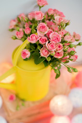 pink roses in yellow watering can