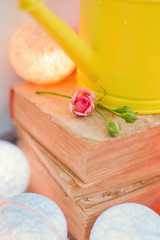 pink roses in yellow watering can