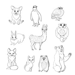 Set of cute animals isolated on white background.  red fox, owl, rabbit, meerkat, cat, corgi, bird, penguin and bear. black and white monochrome. stock vector illustration