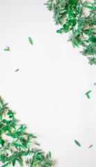 frame from green branches, leaves on a white background. flat lay, top view.