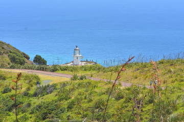 Fototapeta na wymiar Sealed footpath through greenery to iconic lighthouse at Cape Reinga where Tasman Sea meets Pacific Ocean.