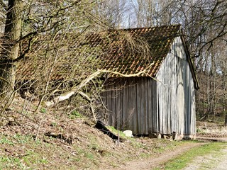 Hütte