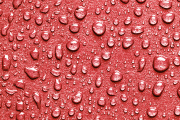 Raindrops water texture. Red surface round droplets background.