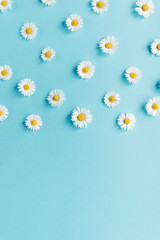 Obraz premium Flowers composition. Pattern made of chamomile flowers on pastel blue background. Spring, summer concept. Flat lay, top view, copy space