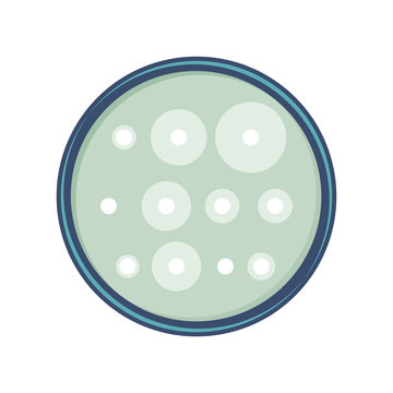 Antibiotic sensitivity analysis of bacteria in petry dish, vector flat design.