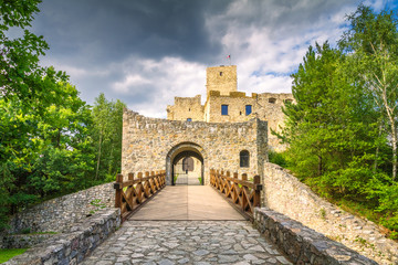 Fototapeta na wymiar Entrance gate to the medieval castle Strecno nearby Zilina town, Slovakia, Europe