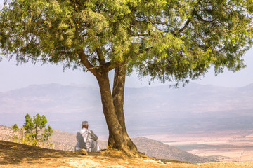 A man sitting by a tree at the top of a mountain, looking out over the surrounding landscape. The...