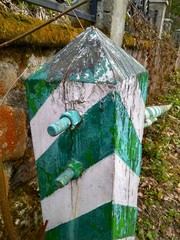 old borderline striped white with a green barrier in the forest