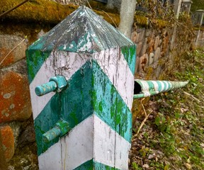 old borderline striped white with a green barrier in the forest
