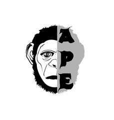 vector image of ape and silhouette of gorilla