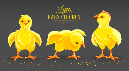 Hen chicken and rooster. Newborn little domestic poultry birds with yellow fluff and feathers pecking corn seeds. Set of farming animals from village farm. Livestock set. Eps10 vector illustration. © LoopAll
