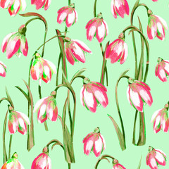 Drawing with watercolor and gouache with the image of flowers, snowdrops and primroses, for the design of prints, backgrounds, invitations, greetings, fabrics, covers