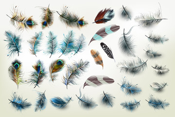 Huge vector collection of realistic fashion feathers for design