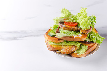 Hot and delicious sandwiches on plate, white marble table. Empty space for your text