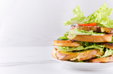 Fresh prepared toasts with tomato,lettce and cucumber.Empty space for your design
