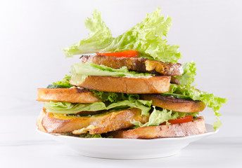 Just cooked toasts on plate.Quick prepared and tasty snack
