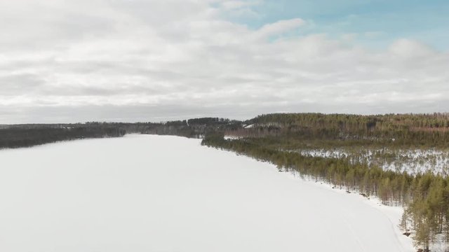 Aerial, tracking, drone shot, above a snowy pond and snowless  pine tree forest, on a cloudy, winter day, at Onkilampi, in Joensuu, North Karelia, Finland
