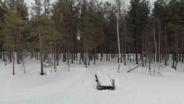 Aerial, drone shot, over a snowy pond and a wharf, in a pine tree forest, on a cloudy, winter day, at Onkilampi, in Joensuu, North Karelia, Finland