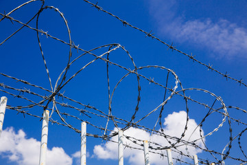 Barbed wire fence