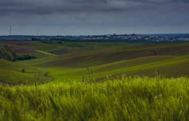 Fields landscape in summer sunset and sunrise