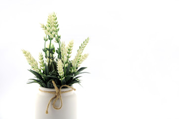 flowers in a vase isolated on white