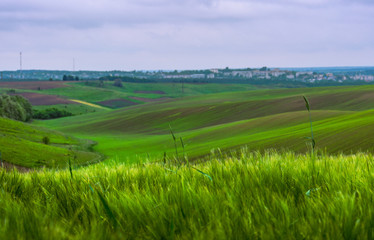 Obraz premium Fields landscape in summer sunset and sunrise