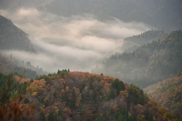雲海