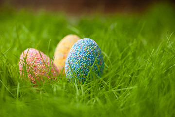 Colored Easter eggs on the lawn in the green grass
