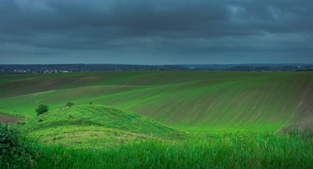 Fields landscape in summer sunset and sunrise