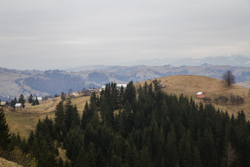 Misty landscape in the mountain area