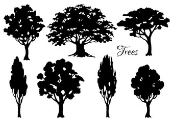 Set of black silhouettes different trees. Vector illustration.