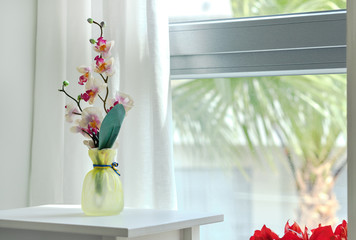 Pretty orchid in glass vase