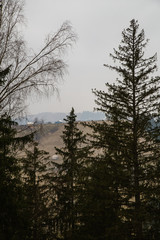 Misty landscape in the mountain area