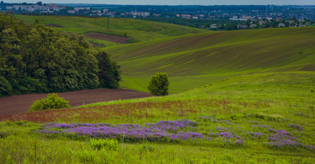 Fields landscape in summer sunset and sunrise