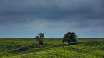 Fields landscape in summer sunset and sunrise
