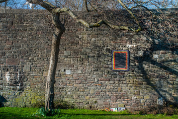 The tree in front of the ancient stone wall