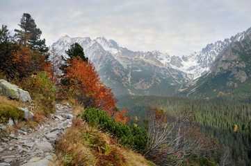 mengusovska dolina © Andrej Macko
