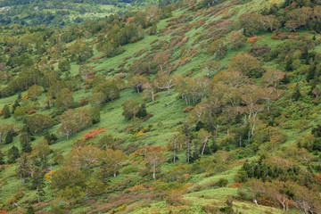 Autumn leaves and clouds in Hachimantai, Akita Prefecture