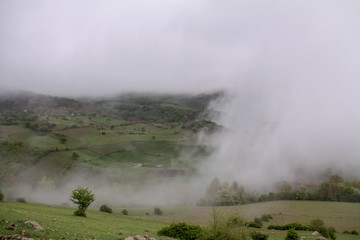 A beautiful misty day in the mountains of Iran, Gilan.