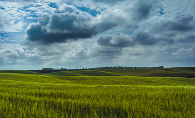 Obraz premium Fields landscape in summer sunset and sunrise