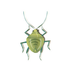Green bug on white background. Vector illustration.