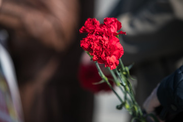 Bouquet of red carnations in man hand at Victory Day celebrations; focus on flower