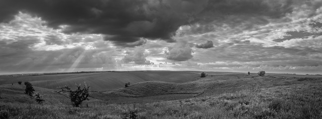 Fields landscape in summer sunset and sunrise